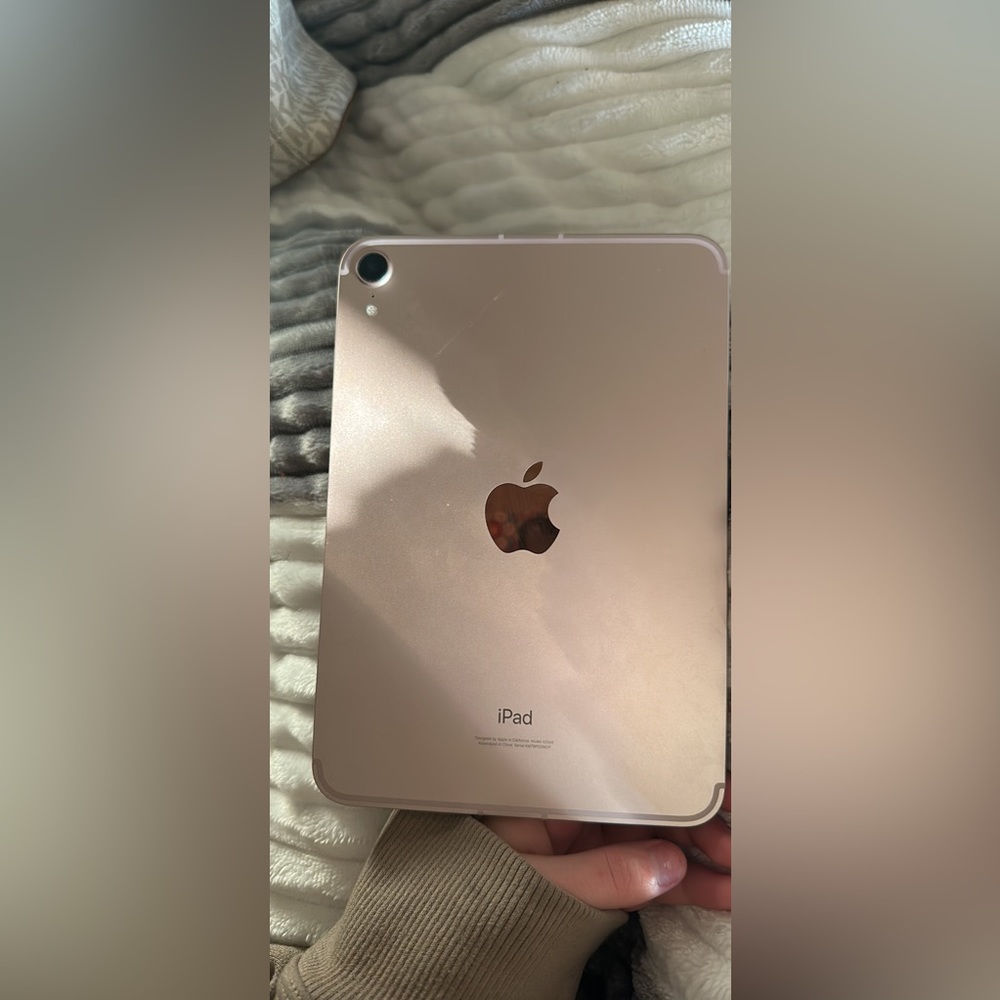 iPad mini rose gold 2021